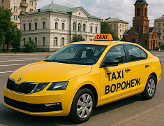 Куда поехать в Воронеже на такси: Путеводитель по интересным местам города